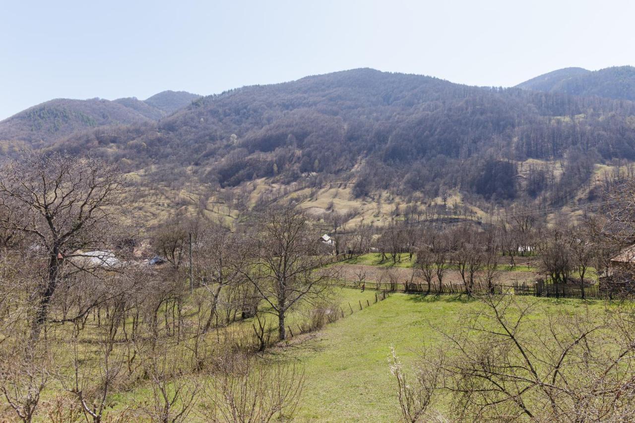Nook Of Nature Basca Rozilei Dış mekan fotoğraf